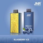 25k Zügen vapeJNR Mega Box 25K 25000blueberry ice