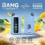 Double saveurBang Leader 50000 Puffs 50k — Guide complet, simple et pratique (FR)bang leader puffs disposable dual flavors mouthpiece exchan
