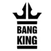 Nos partenairesimgi bang king x