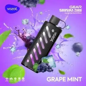 Almacén europeo Vozol Gear Shisha 25000imgi imagen
