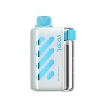 Entrepôt européenVozol Vista 40K — Guide completimgi vozol vista pu