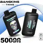 Double saveurBang King 50000 Puffs 50K Twin : Le Guide Ultime 2025 | PUFF9Kimgi bang king twin puffs