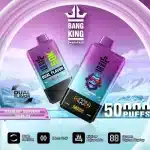 Double saveurBang King 50000 Puffs 2 en 1 : Le Guide Complet 2025 - Test & Avisimgi bang king puffs
