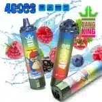 Puff 40kBang King 40000 Puffs : Le Guide Ultime de la Vape Jetable Haute Capacitéimgi bang king puffs