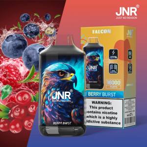 dtl vapeAlmacén europeo JNR Falcon 16000 Puffsjnr falcon puff vape desechable